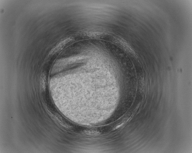 X0000085010644200703261156