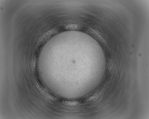 X0000085010645200703261156