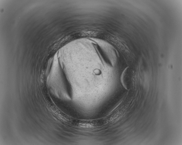 X0000085010649200703261156