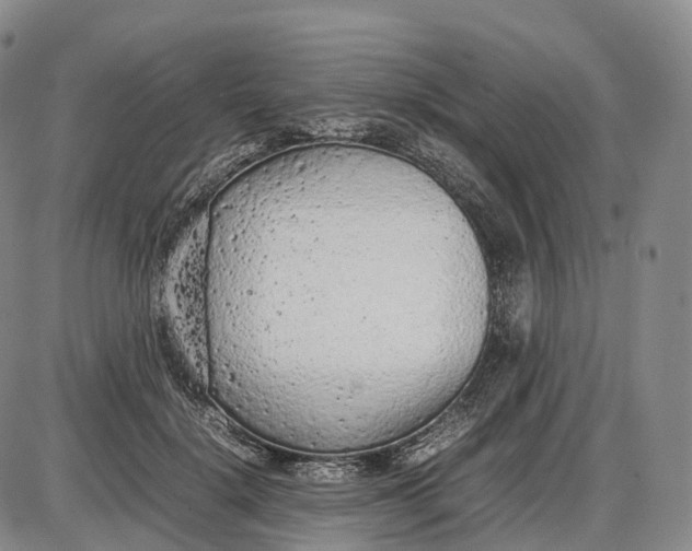 X0000085010652200703261156