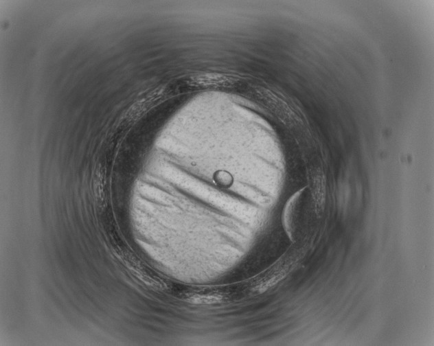 X0000085010653200703261156