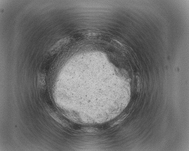 X0000085010654200703261156