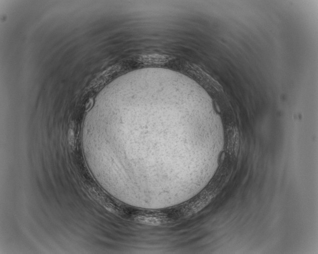 X0000085010655200703261156