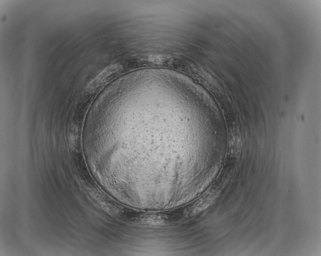 X0000085010656200703261156