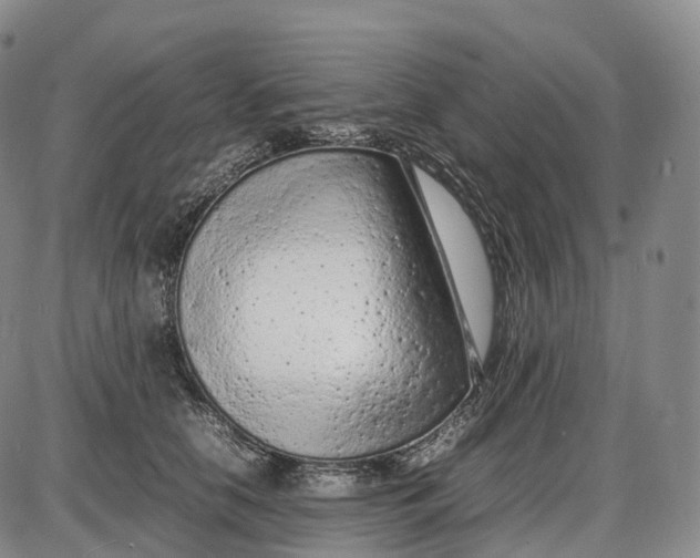 X0000085010658200703261156