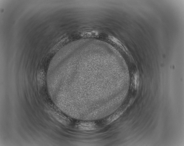 X0000085010659200703261156