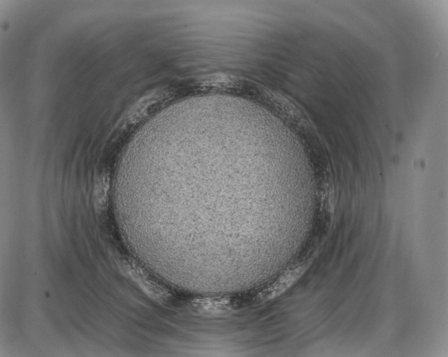 X0000085010660200703261156