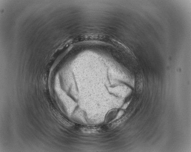 X0000085010661200703261156