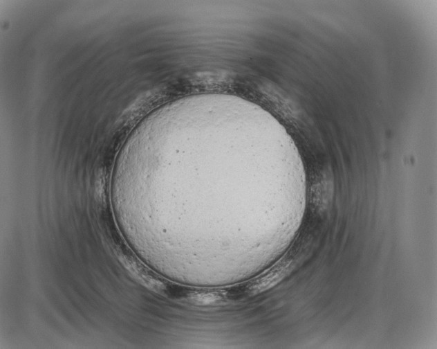 X0000085010662200703261156