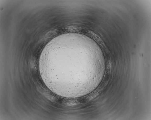 X0000085010663200703261156