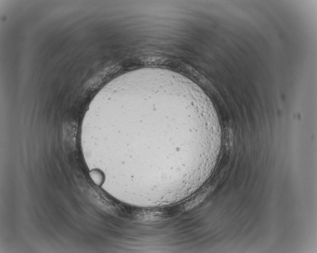 X0000085010664200703261156