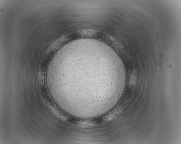 X0000085010666200703261156