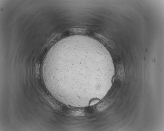 X0000085010667200703261156