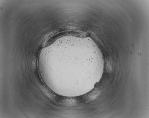 X0000085010668200703261156