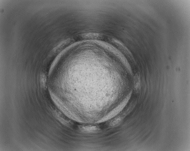 X0000085010669200703261156