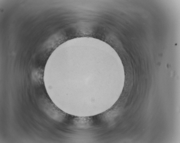 X0000085010672200703261156