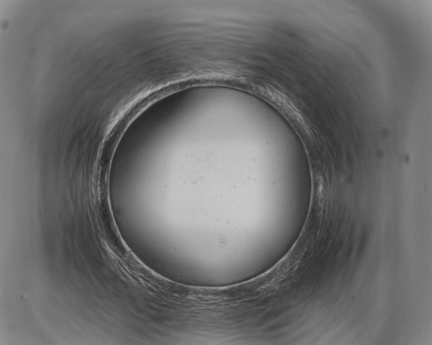 X0000085010676200703261155