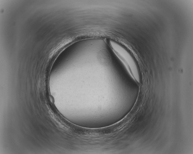 X0000085010677200703261155