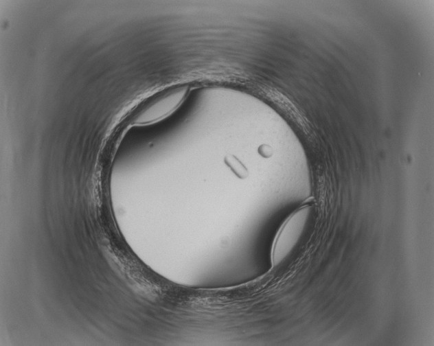 X0000085010680200703261155