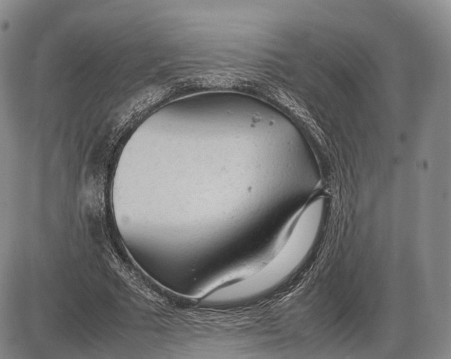 X0000085010681200703261155