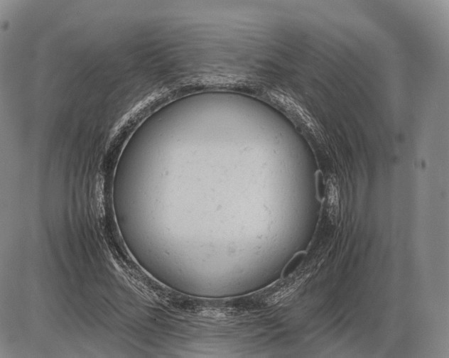 X0000085010684200703261155