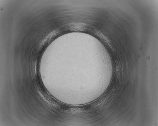 X0000085010686200703261155