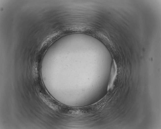 X0000085010688200703261155