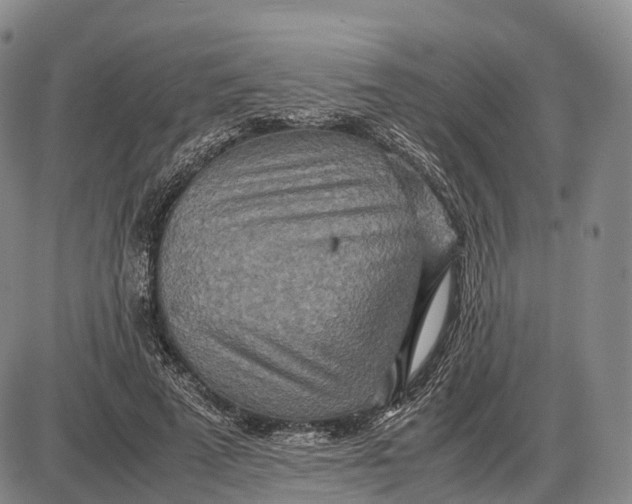 X0000085010689200703261155