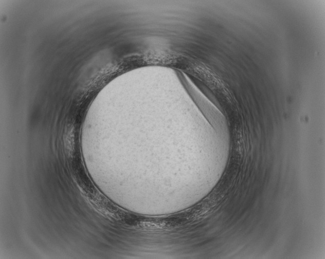 X0000085010690200703261155