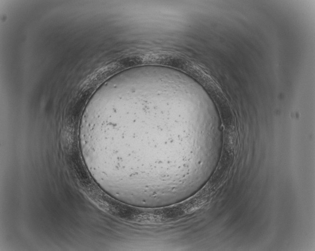 X0000085010691200703261155