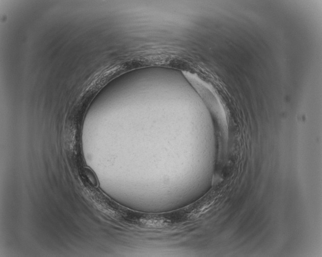 X0000085010693200703261155