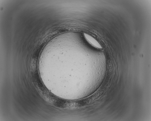 X0000085010695200703261155