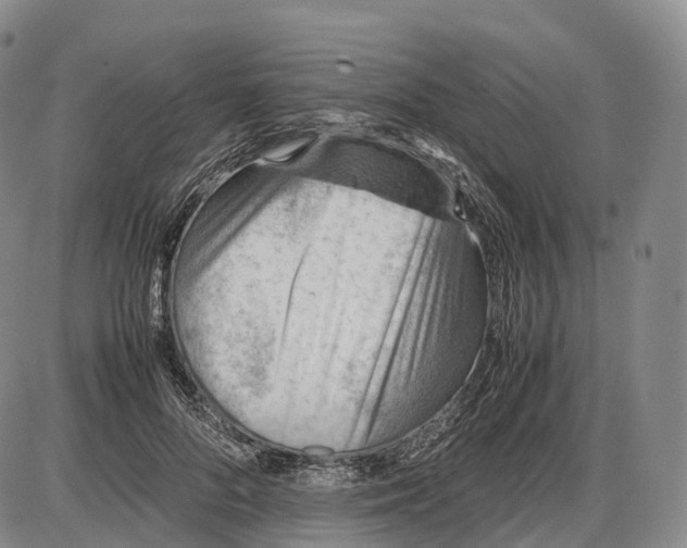 X0000085010696200703261155