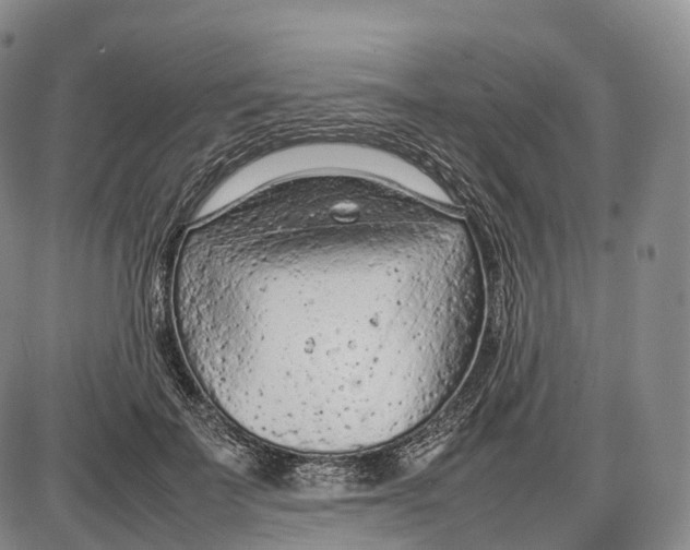 X0000085010699200703261155