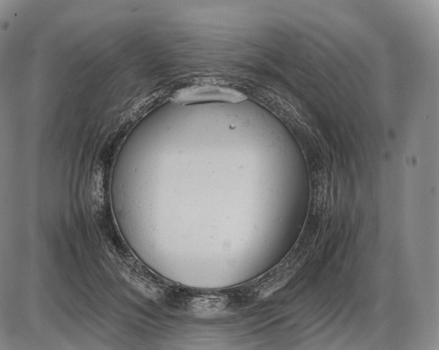 X0000085010700200703261155