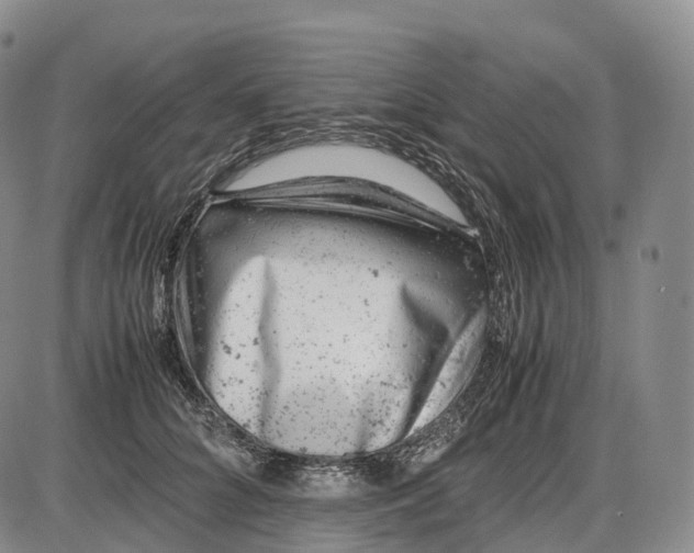 X0000085010704200703261155