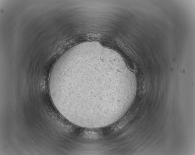 X0000085010706200703261155