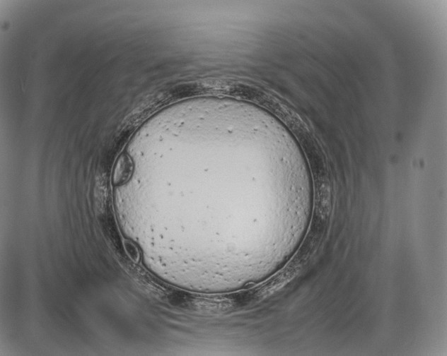 X0000085010707200703261155