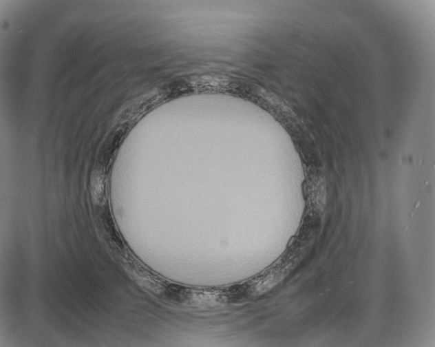 X0000085010709200703261155