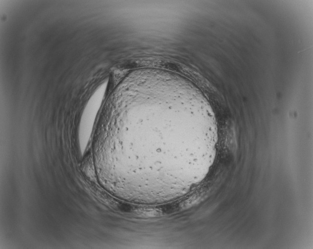 X0000085010711200703261155