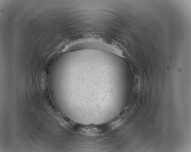 X0000085010712200703261155