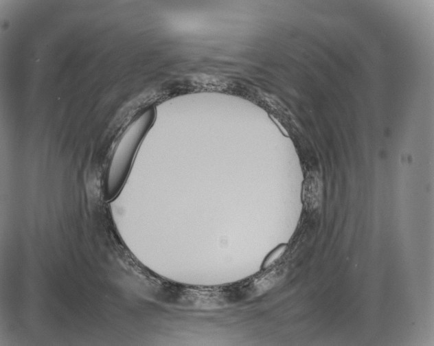 X0000085010713200703261155