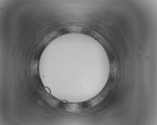 X0000085010717200703261155