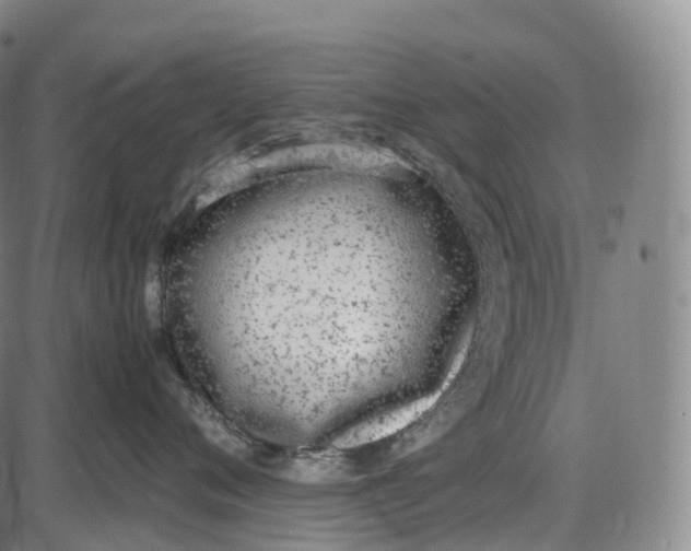 X0000085010720200703261155