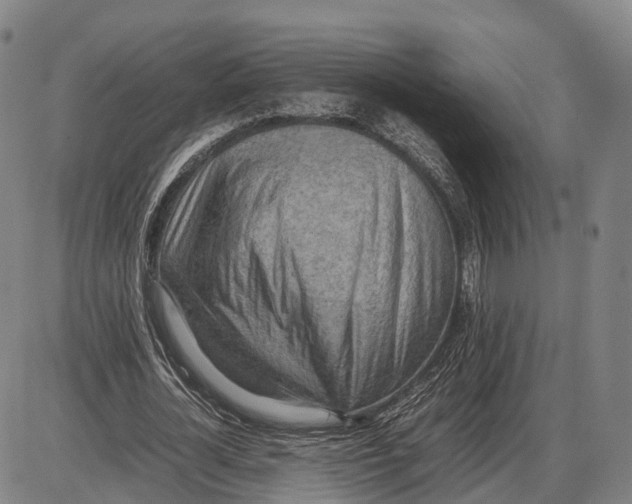 X0000085010724200703261154