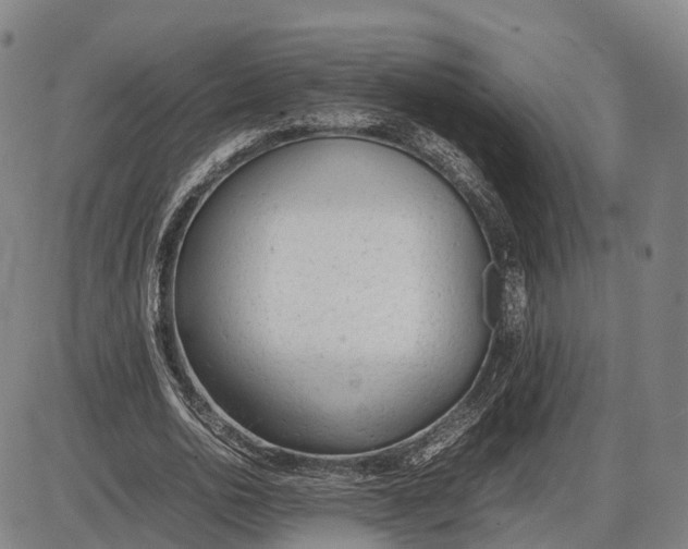 X0000085010726200703261154