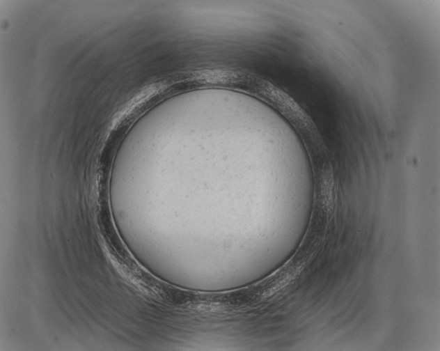 X0000085010730200703261154