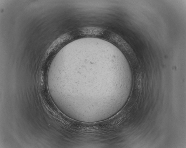 X0000085010731200703261154