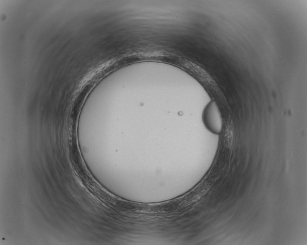 X0000085010732200703261154