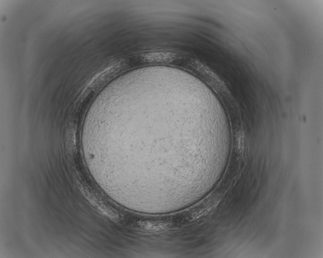 X0000085010733200703261154